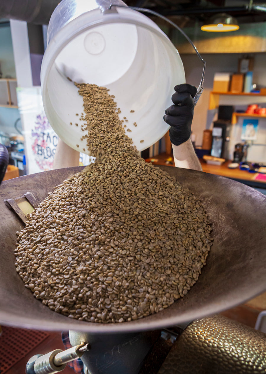 Green coffee poured into roaster