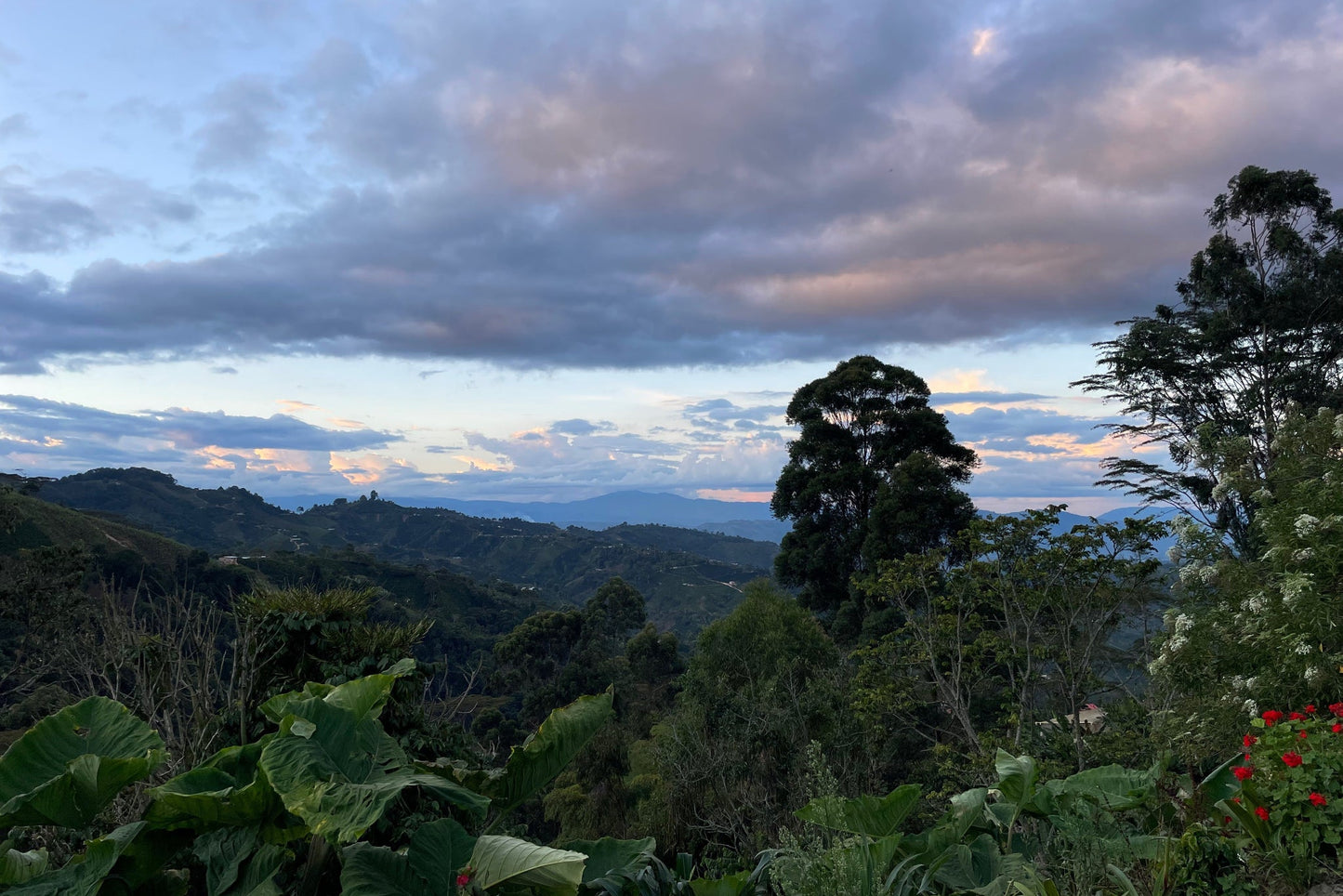 View from Finca el Diviso, Las Bruselas, Colombia. Photo courtesy of Shared Source.