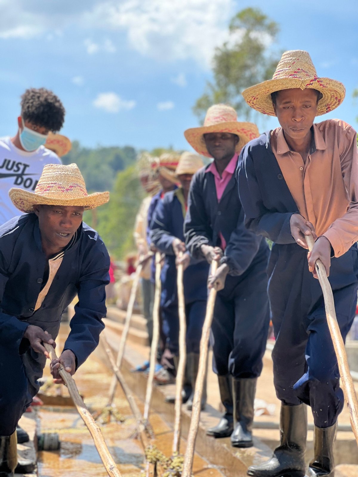 Idido | Yirgacheffe, Ethiopia