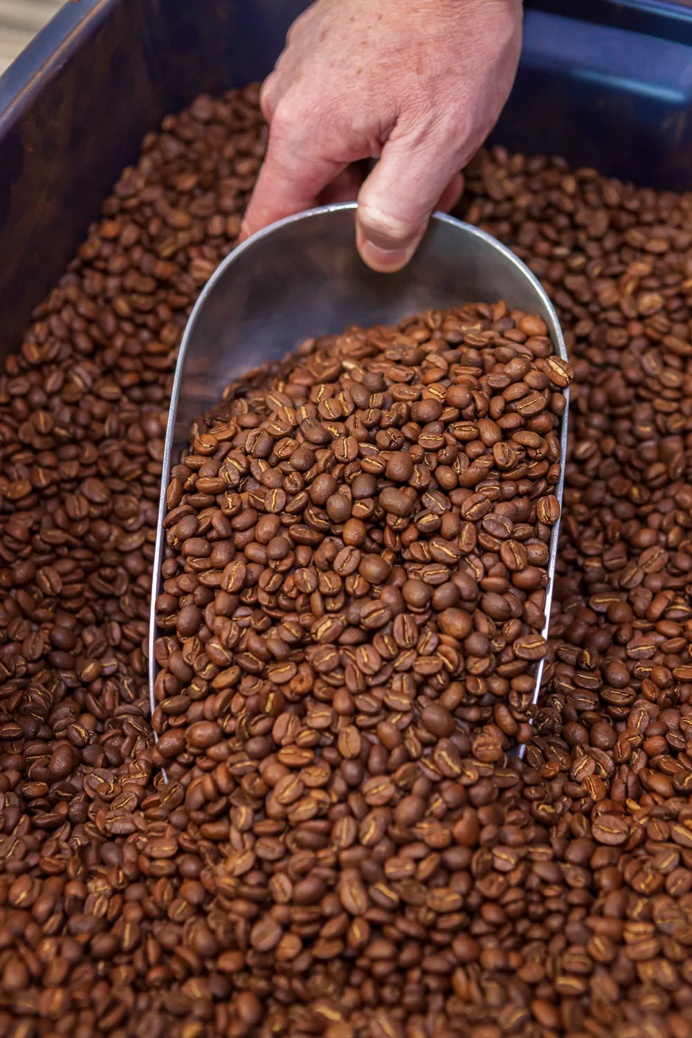 Beans being scooped