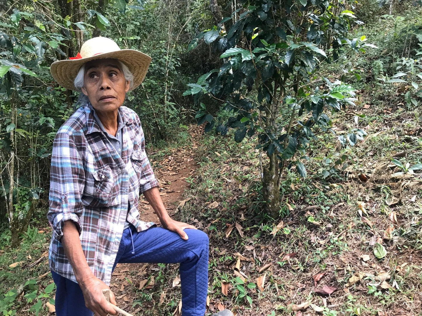 San Vicente Yogondoy | Oaxaca, Mexico