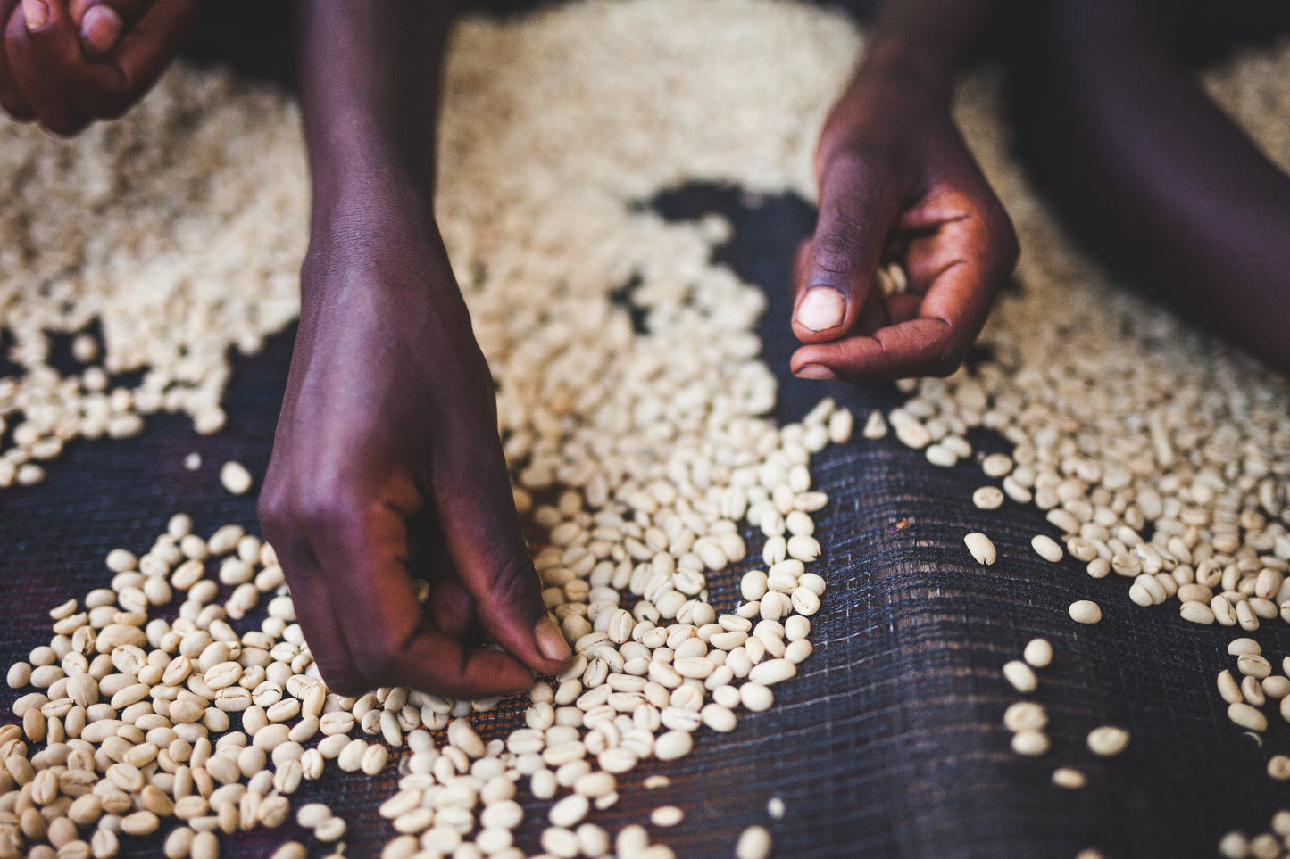 Bensa Bombe | Washed Sidamo, Ethiopia