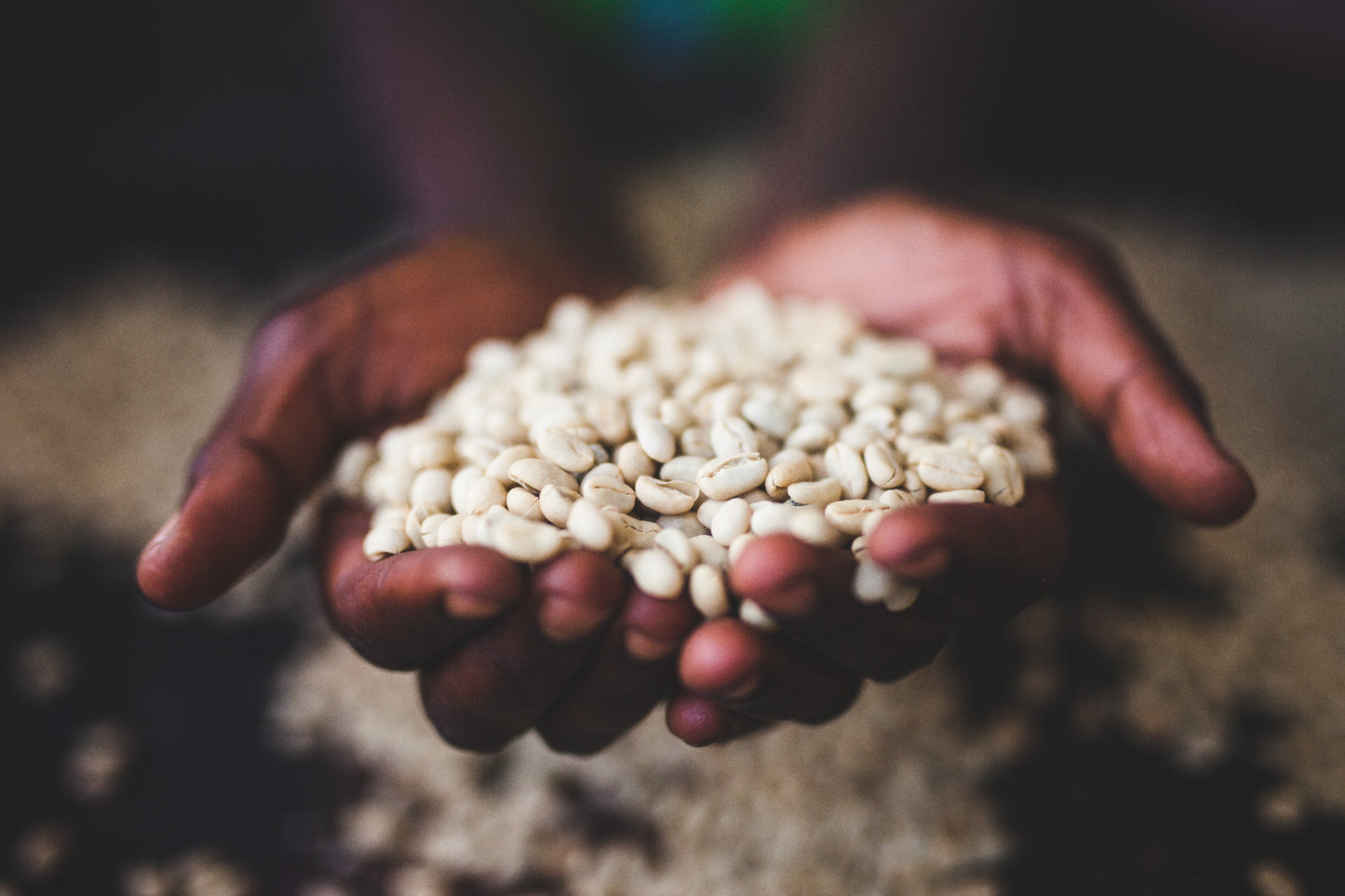 Bensa Bombe | Washed Sidamo, Ethiopia