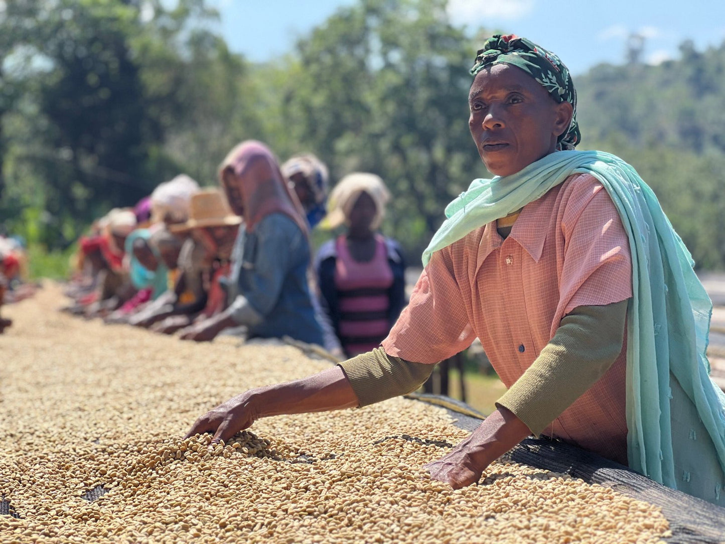 Idido | Yirgacheffe, Ethiopia