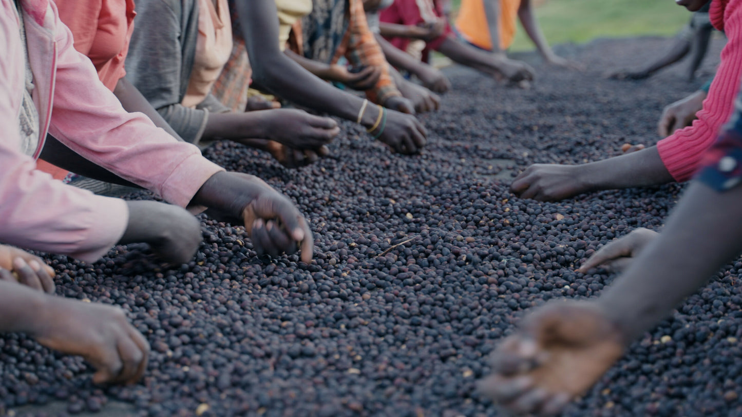 Tebe Melge Natural | Guji, Ethiopia